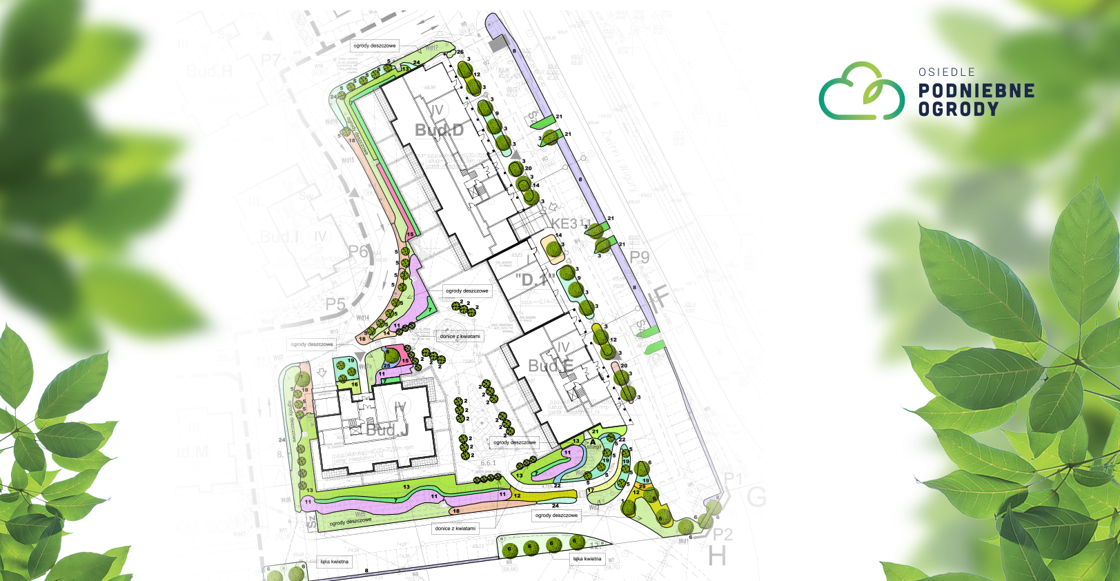 Plan zagospodarowania